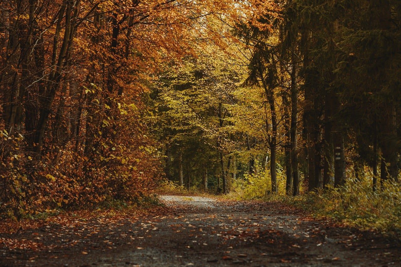 Klidná ranní rutina u okna s výhledem na přírodu