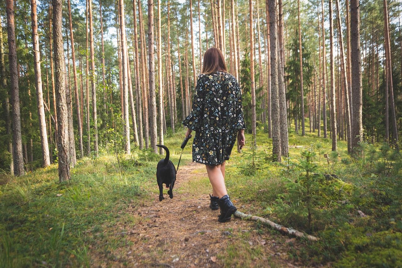 Svěží ranní snídaně s ovocem, jogurtem a bylinkovým čajem na světlém stole u okna